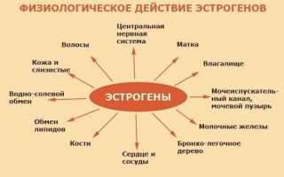 Уровень эстрогена для женщин: недостаток и избыток