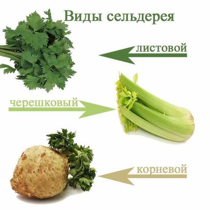 3 вида