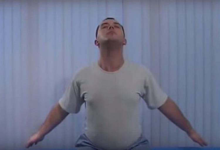 Цапля