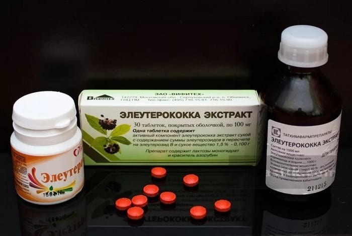 Применение элеутерококка: полезные свойства и противопоказания